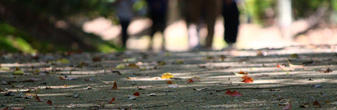 尾行で判明することとは