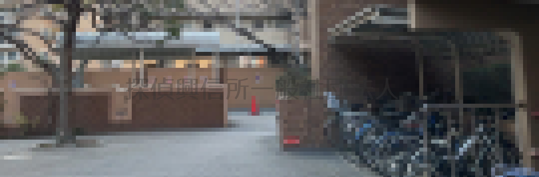 張り込みで判明することとは