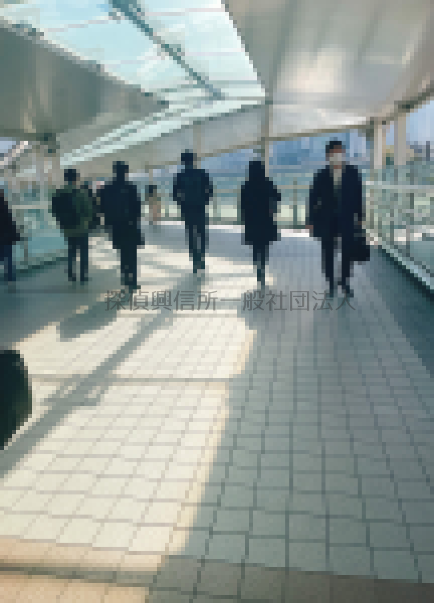 聞き込み調査で判明した事実の活用方法