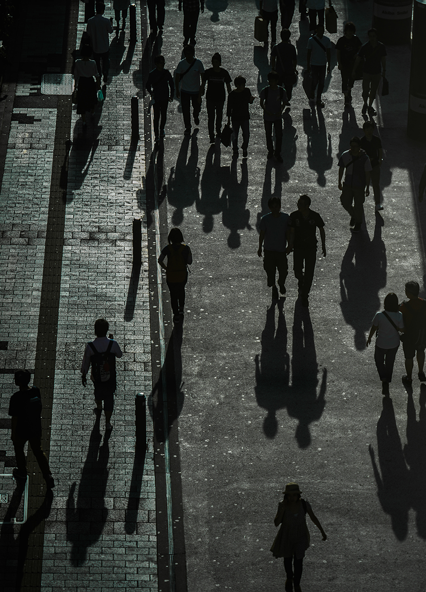 個人情報保護と住所関連調査の関連性