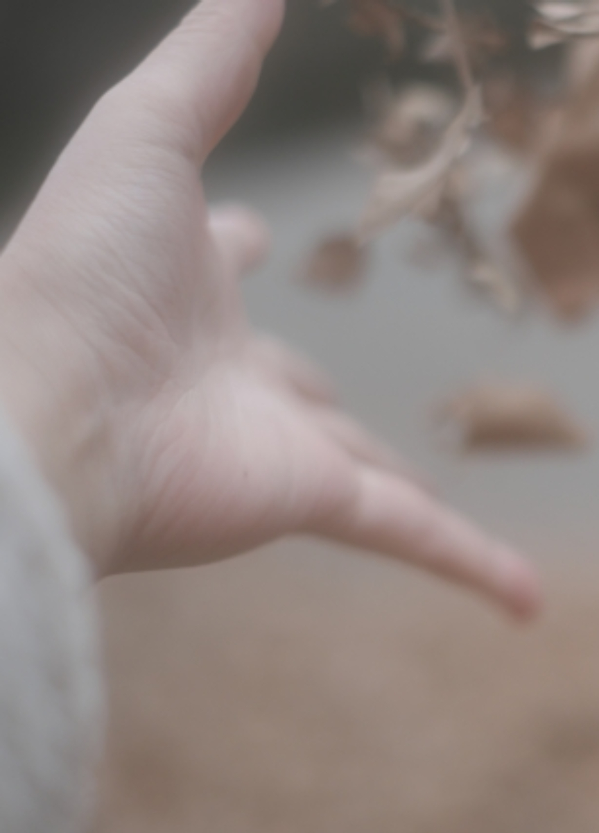 家族間で起きる問題