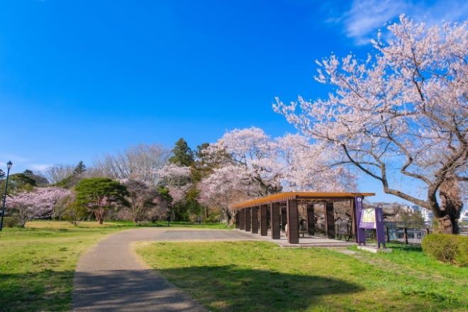 宮城県の探偵興信所相談窓口案内