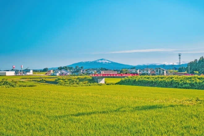 山形県の探偵興信所の強みと信頼性