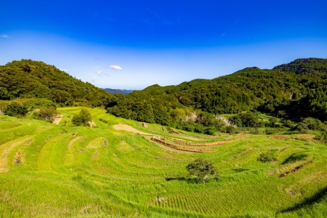 千葉県の探偵興信所の強みと信頼性