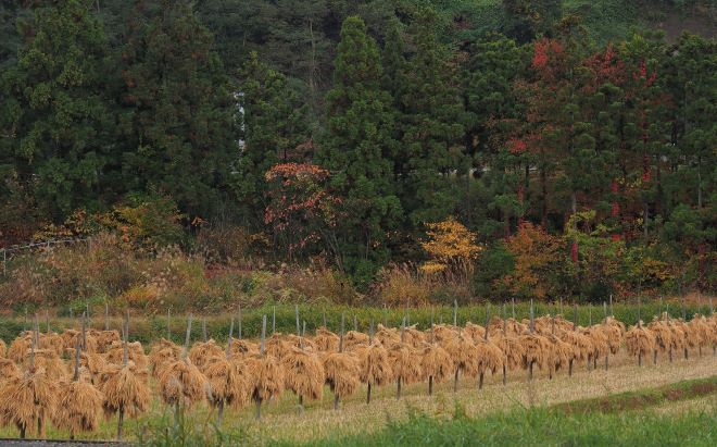 大鰐町から利用できる探偵相談・調査案内。